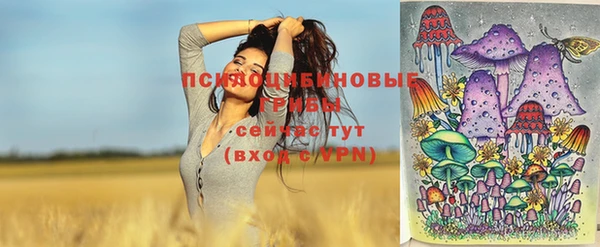 дурь Алзамай