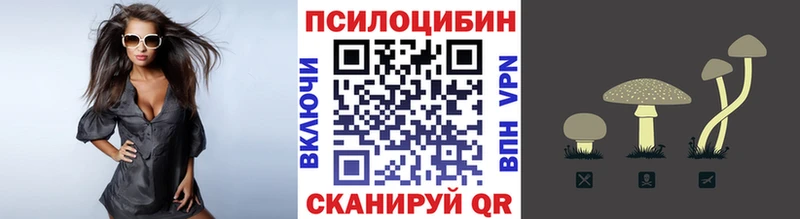 как найти закладки  Курганинск  маркетплейс клад  Псилоцибиновые грибы MAGIC MUSHROOMS 